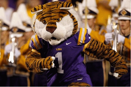 Mike the Tiger marching the pregame show performed by the L S U Golden Band from Tigerland