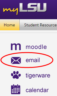 myLSU email button