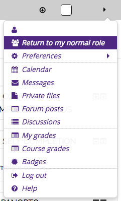 Return to my Normal Role option