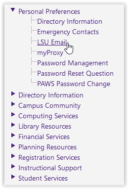 personal preferences/LSU e-mail options in myLSU