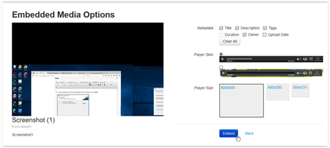 embedded media options on kaltura