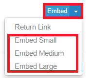 Embed size options