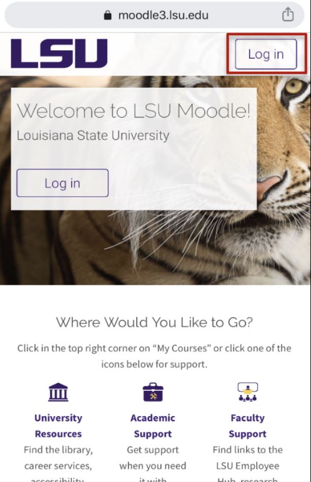 log in button shown