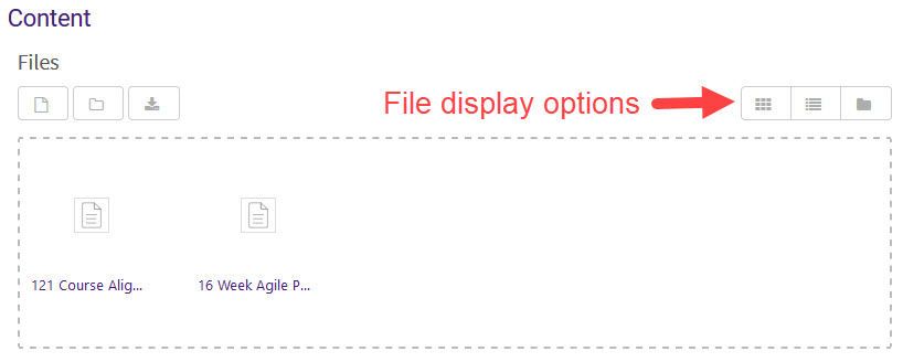 File display options in a Folder in Moodle 3.7