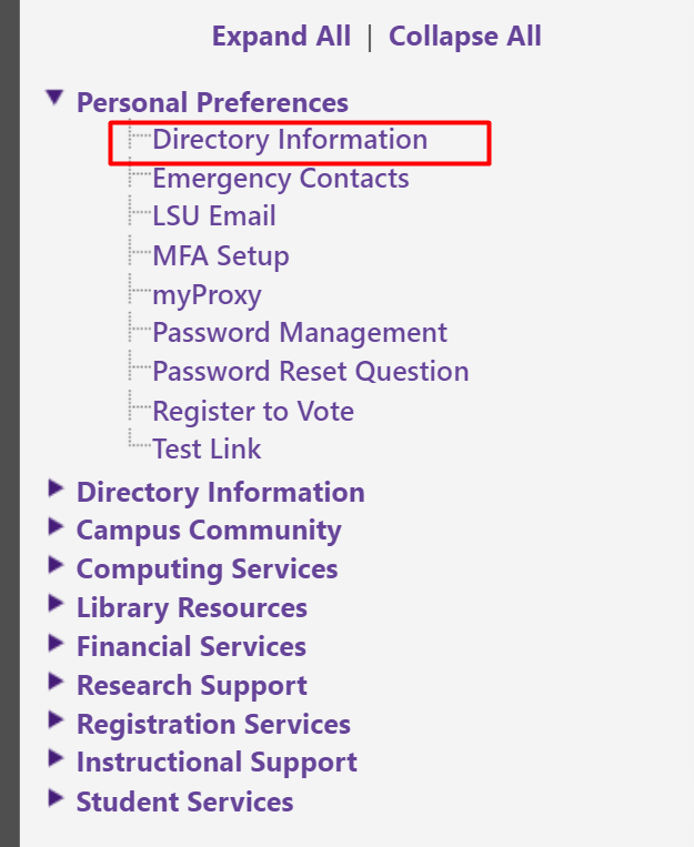 the directory information link under personal preferences