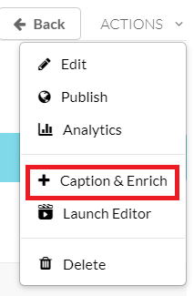 Caption and enrich option in Actions menu