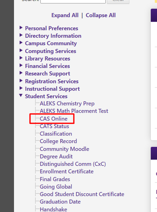 CAS Online Tutoring highlighted at the left hand side panel.